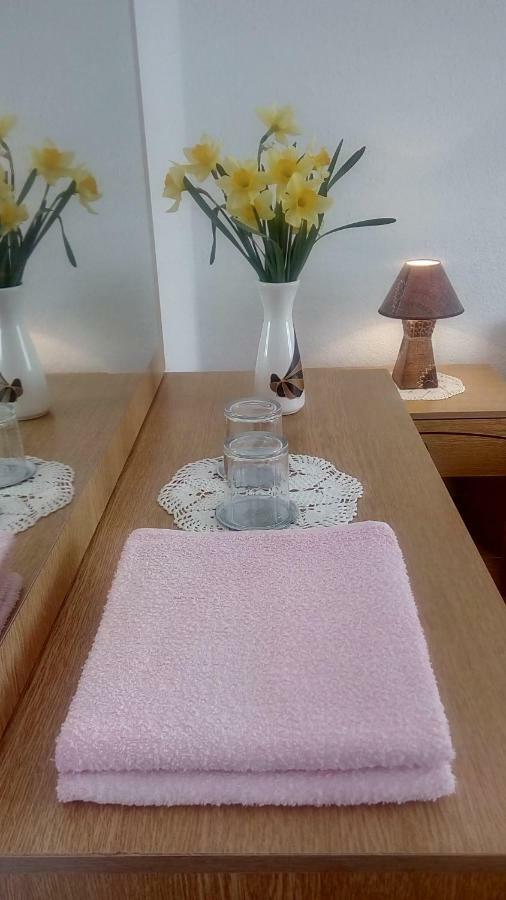 Apartment And Rooms Markovic セニ エクステリア 写真